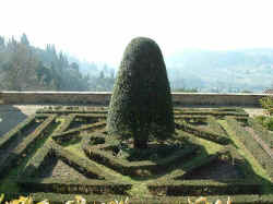 Garden of Villa Medici at Fiesole
